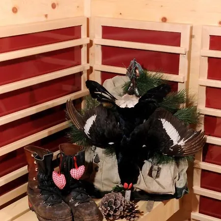 Jagdhof Ligedl Апарт-отель 4*