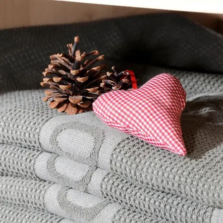 Jagdhof Ligedl 4* Майрхофен